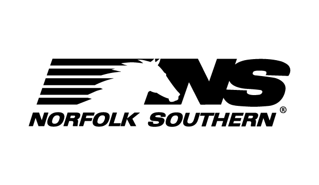 NS Logo