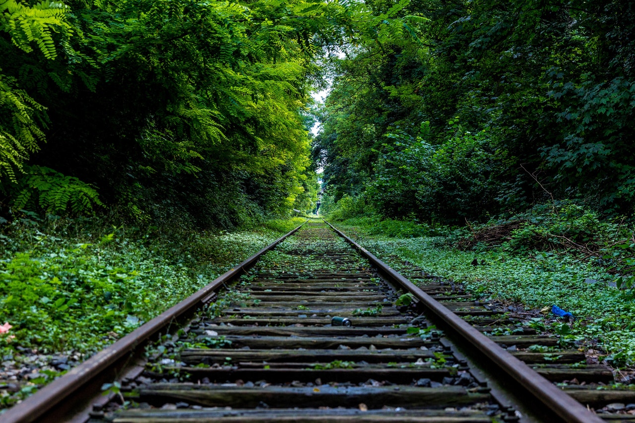 Abandoned Forest Industry Nature 34950